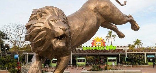San Diego Zoo is a Hot Spot for Our Patients